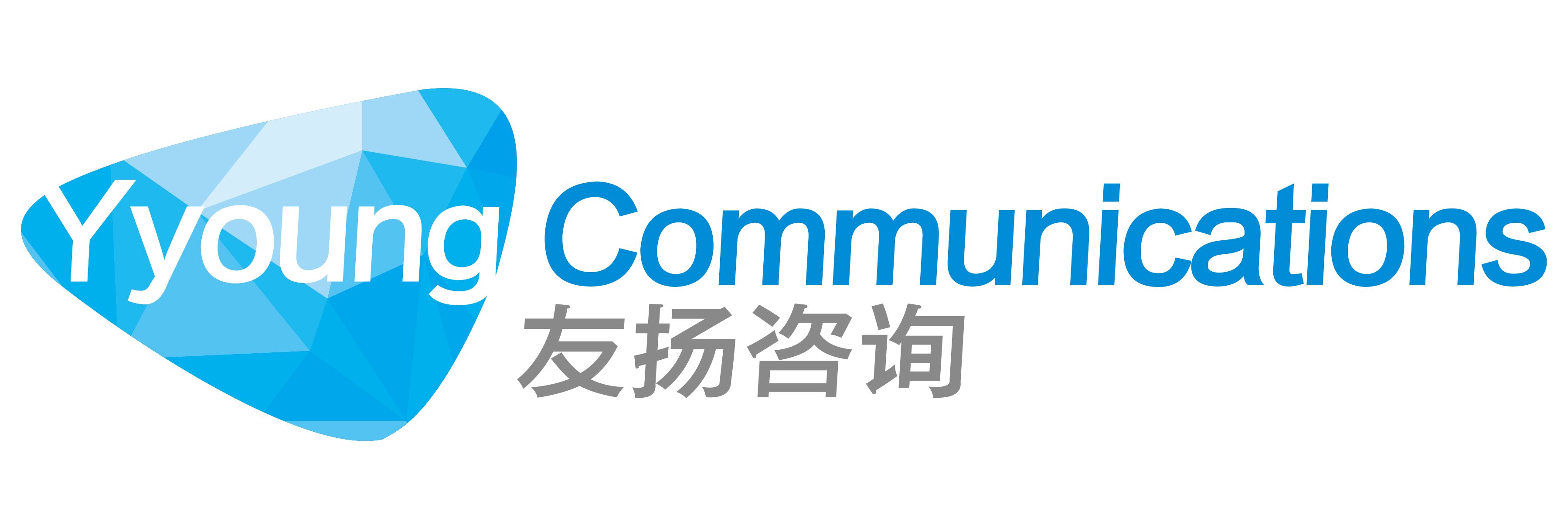 友扬咨询